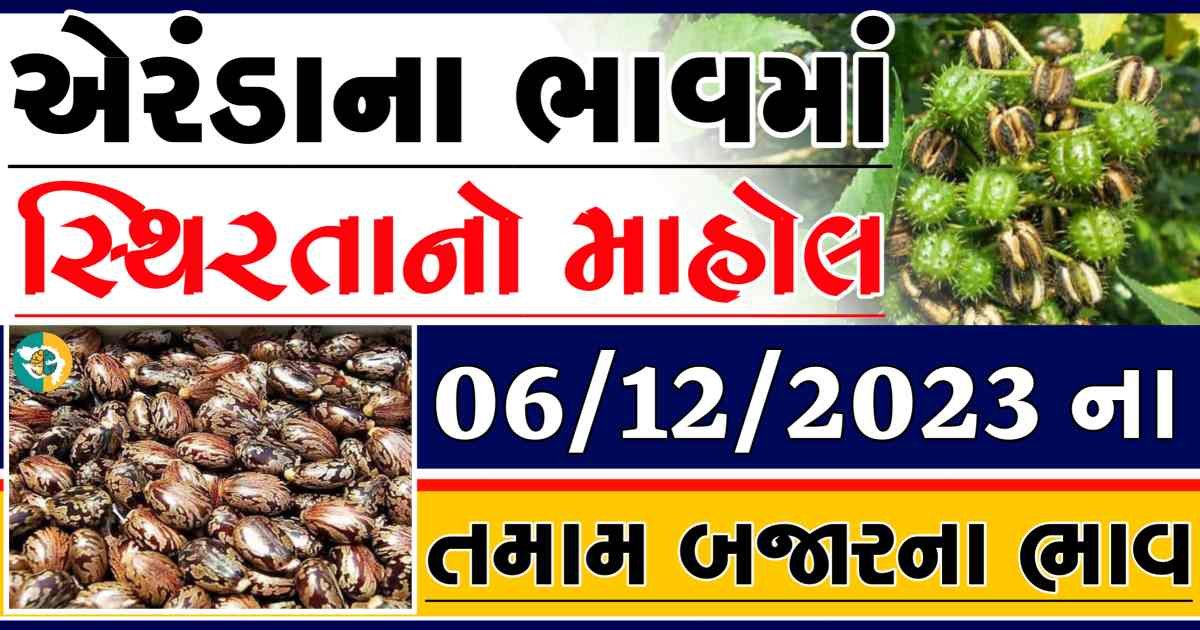 Today 06/12/2023 Eranda Apmc Rate આજના એરંડાના બજાર ભાવ gkmarugujarat.com