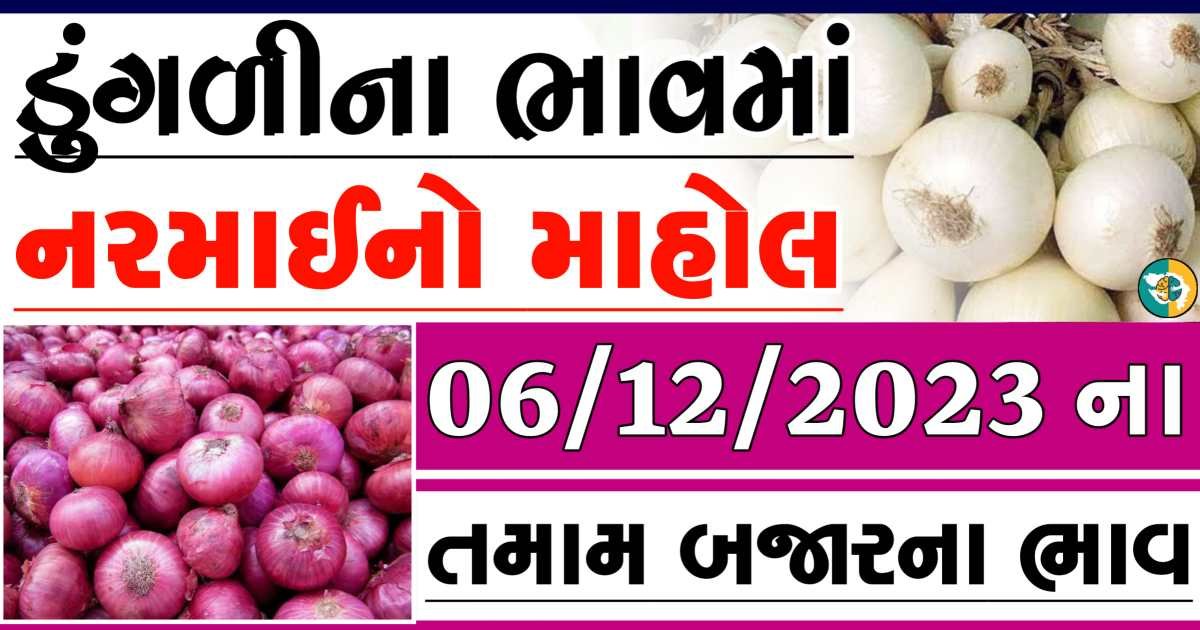 Today 06/12/2023 Onion Apmc Rate આજના લાલ અને સફેદ ડુંગળીના બજાર ભાવ Gkmarugujarat.com