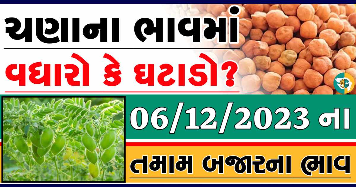 Today 06/12/2023 Chickpeas Apmc Rate આજના ચણાના બજાર ભાવ gkmarugujarat.com