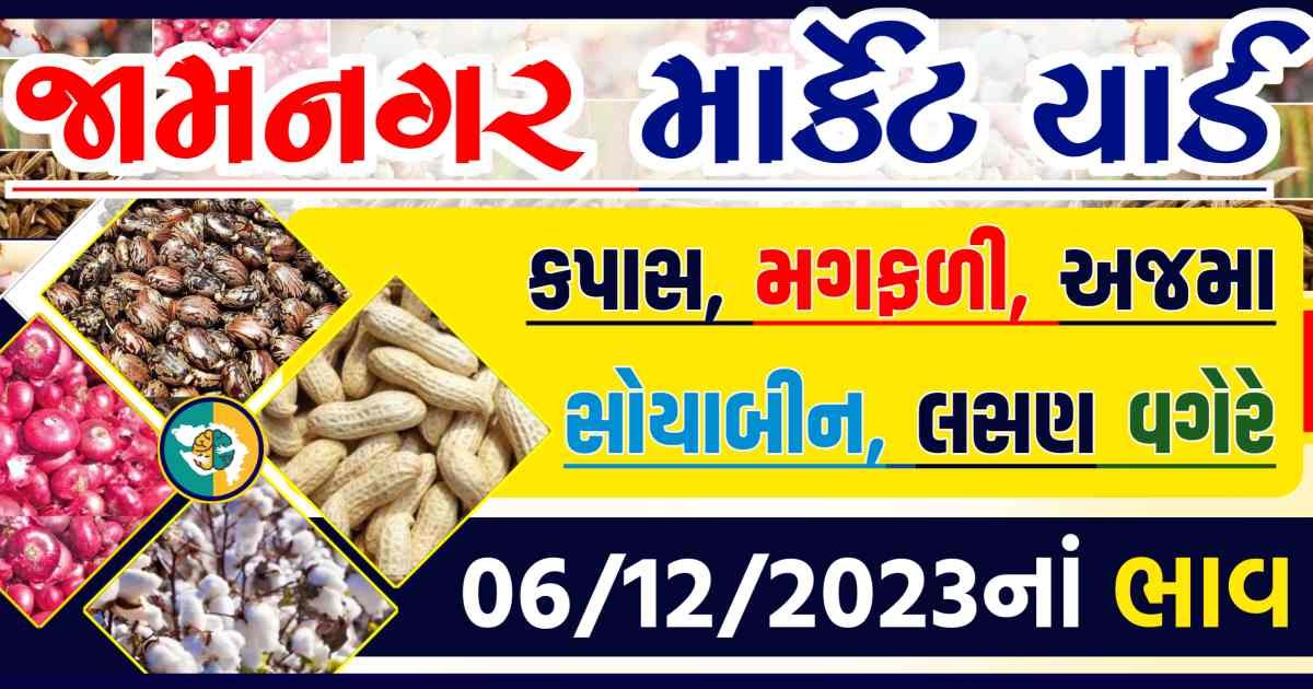 Today 06/12/2023 Jamnagar Apmc Rate આજના જામનગરના બજાર ભાવ Gkmarugujarat.com