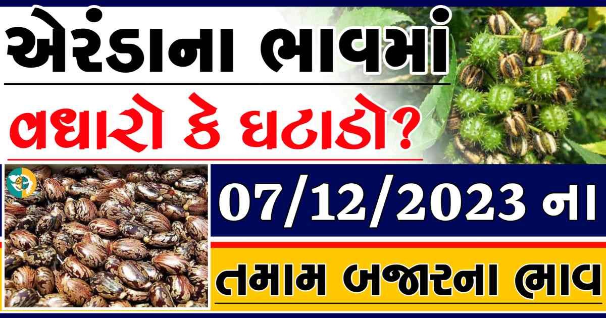 Today 07/12/2023 Eranda Apmc Rate આજના એરંડાના બજાર ભાવ gkmarugujarat.com