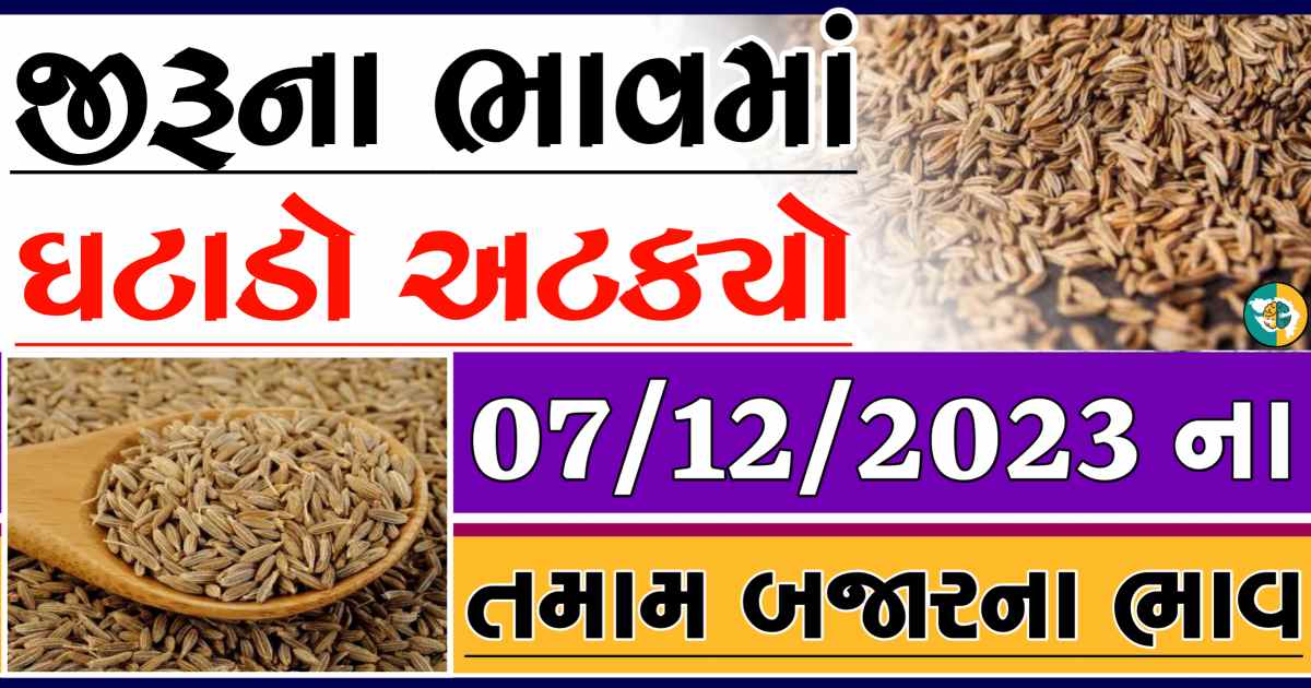 Today 07/12/2023 Jiru Apmc Rate આજના જીરુના બજાર ભાવ gkmarugujarat.com