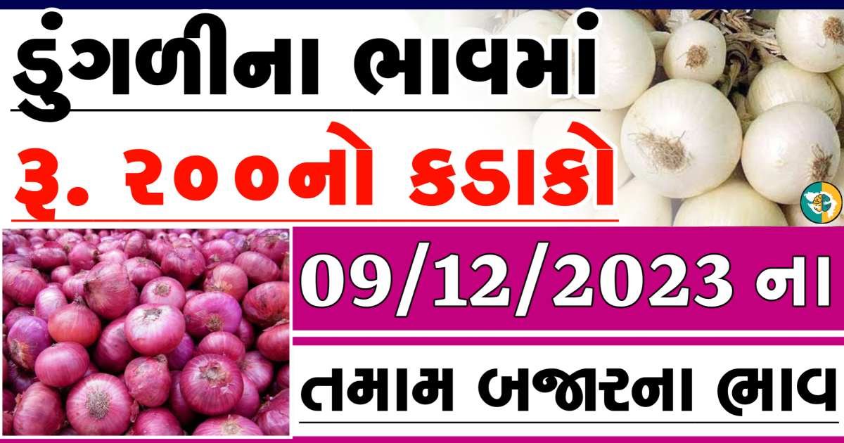 Today 09/12/2023 Onion Apmc Rate આજના લાલ અને સફેદ ડુંગળીના બજાર ભાવ Gkmarugujarat.com