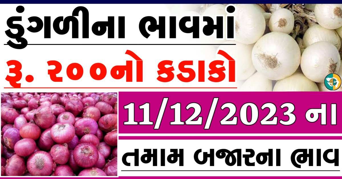 Today 11/12/2023 Onion Apmc Rate આજના લાલ અને સફેદ ડુંગળીના બજાર ભાવ Gkmarugujarat.com