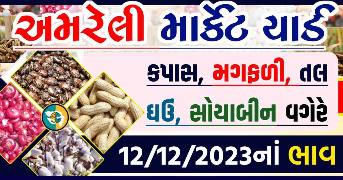 Today 12/12/2023 Amreli Apmc Rate આજના અમરેલીના બજાર ભાવ Gkmarugujarat.com