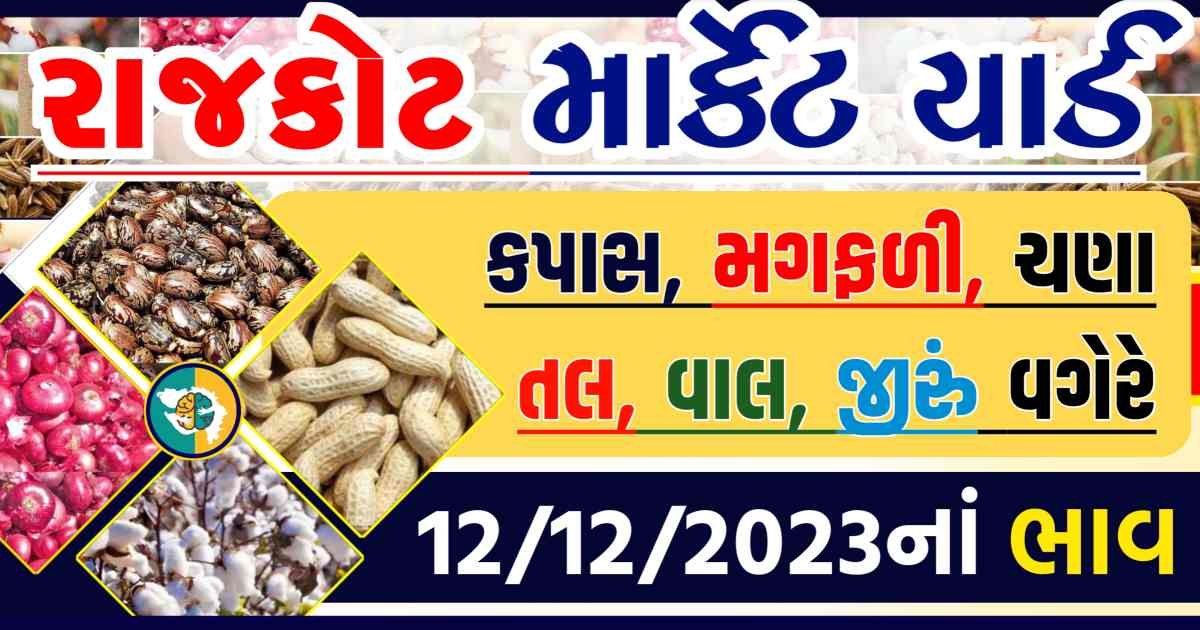 Today 12/12/2023 Rajkot Apmc Rate આજના રાજકોટના બજાર ભાવ Gkmarugujarat.com