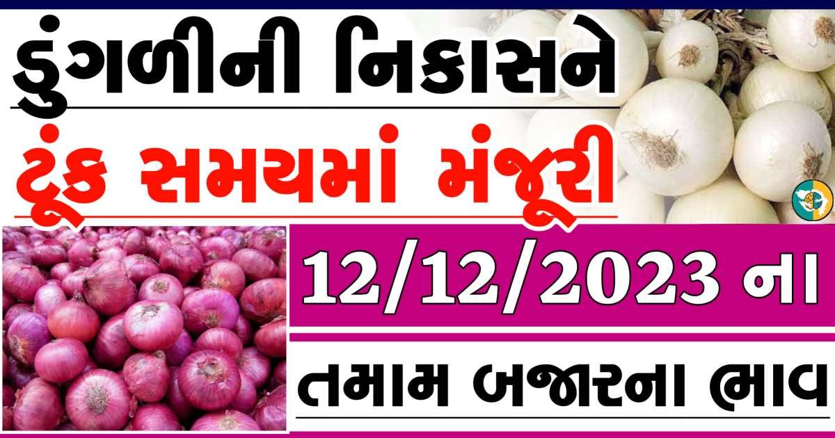 Today 12/12/2023 Onion Apmc Rate આજના લાલ અને સફેદ ડુંગળીના બજાર ભાવ Gkmarugujarat.com