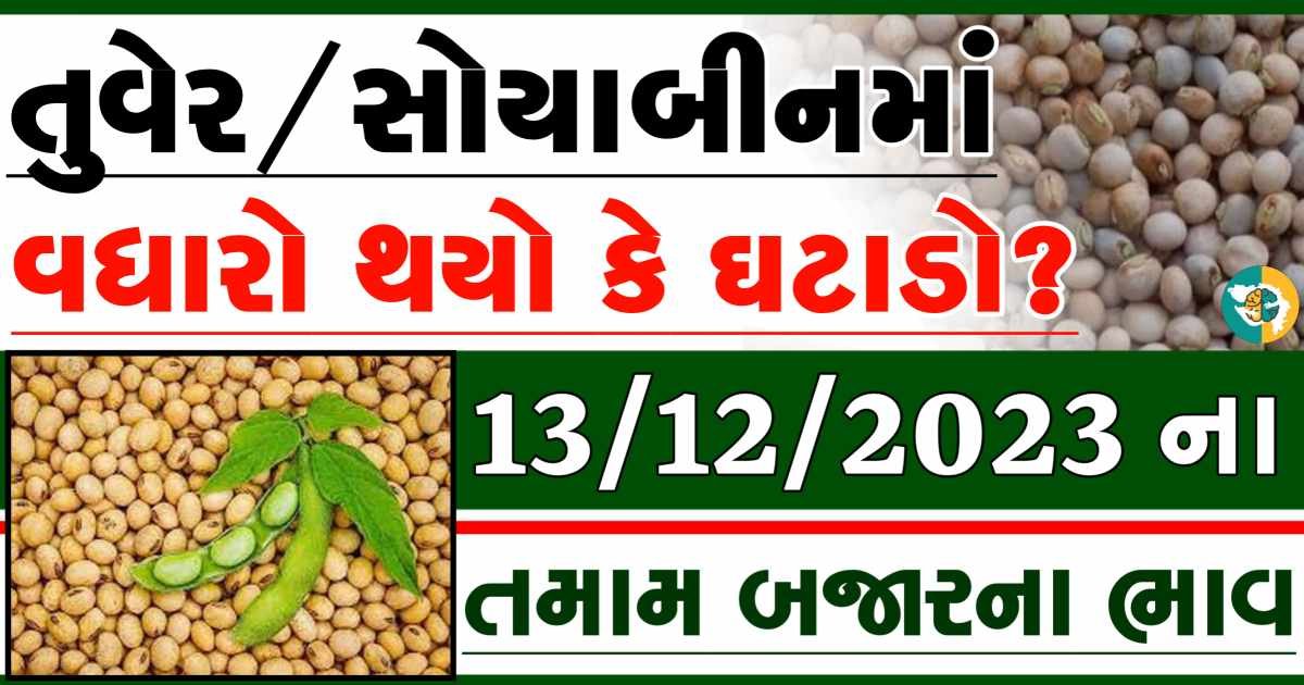 13/12/2023 Turmeric Soybeans Apmc Rate આજના તુવેર અને સોયાબીનના બજાર ભાવ gkmarugujarat.com