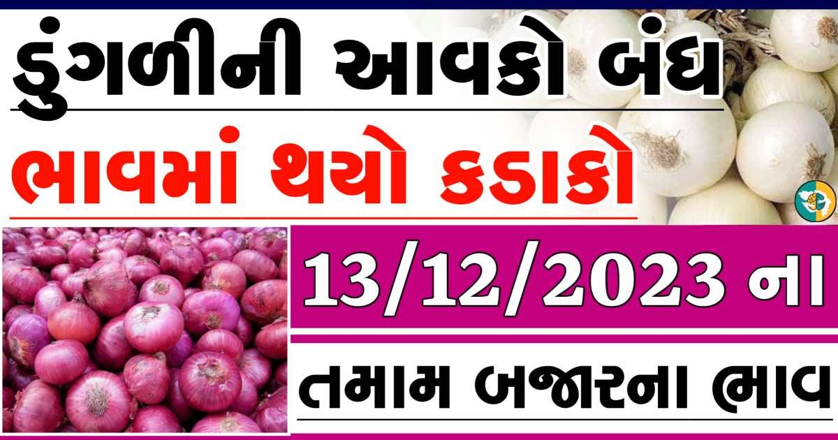 Today 13/12/2023 Onion Apmc Rate આજના લાલ અને સફેદ ડુંગળીના બજાર ભાવ Gkmarugujarat.com