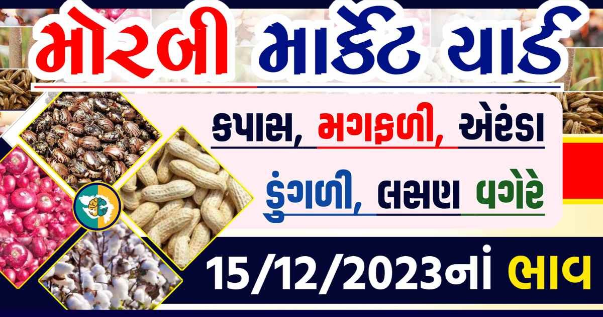 Today 15/12/2023 Morbi Apmc Rate આજના મોરબીના બજાર ભાવ Gkmarugujarat.com