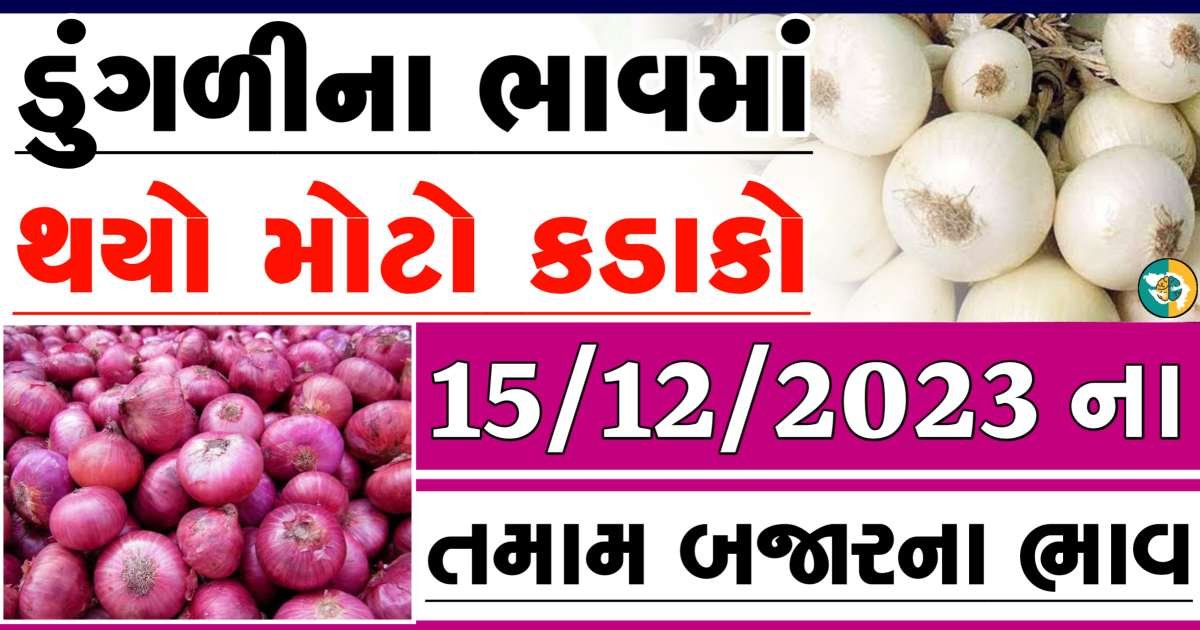 Today 15/12/2023 Onion Apmc Rate આજના લાલ અને સફેદ ડુંગળીના બજાર ભાવ Gkmarugujarat.com