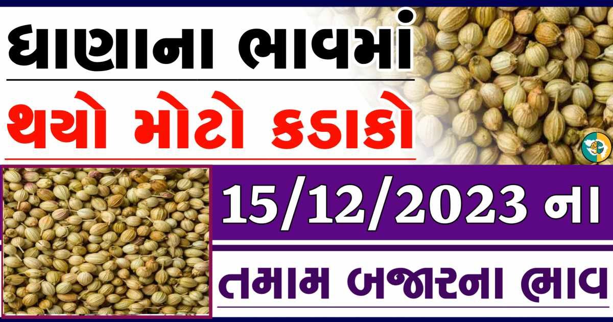 Today 15/12/2023 Coriander Apmc Rate આજના ધાણાના બજાર ભાવ gkmarugujarat.com