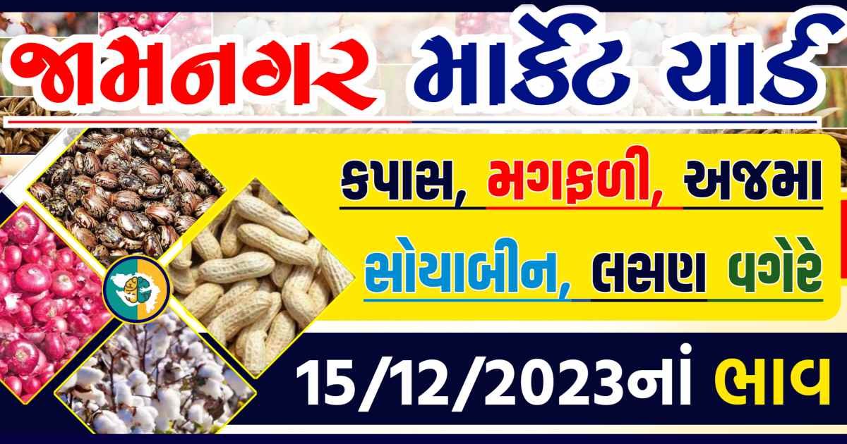 Today 15/12/2023 Jamnagar Apmc Rate આજના જામનગરના બજાર ભાવ Gkmarugujarat.com