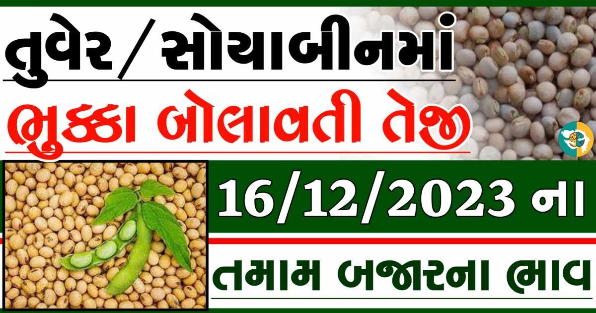 16/12/2023 Turmeric Soybeans Apmc Rate આજના તુવેર અને સોયાબીનના બજાર ભાવ gkmarugujarat.com