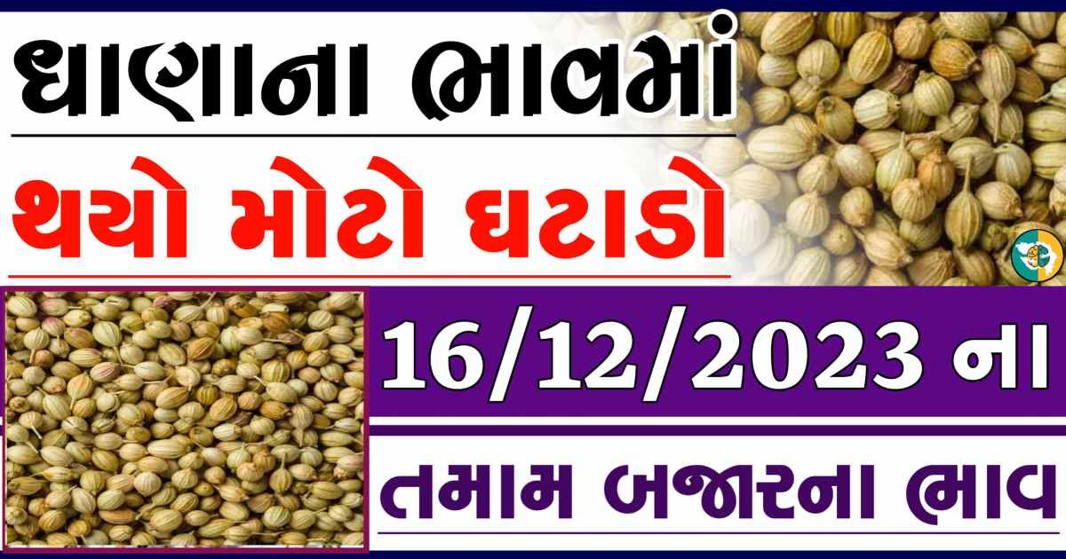 Today 16/12/2023 Coriander Apmc Rate આજના ધાણાના બજાર ભાવ gkmarugujarat.com