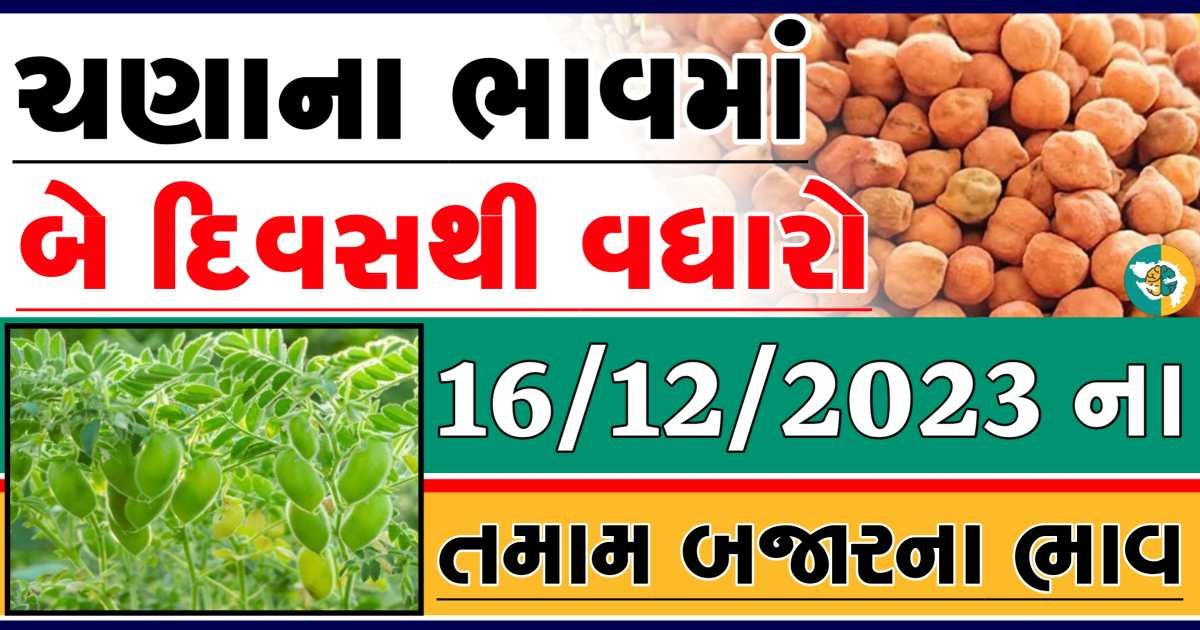 Today 16/12/2023 Chickpeas Apmc Rate આજના ચણાના બજાર ભાવ gkmarugujarat.com