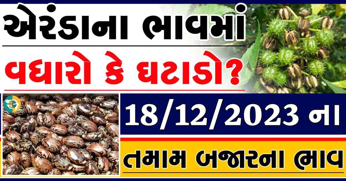 Today 18/12/2023 Eranda Apmc Rate આજના એરંડાના બજાર ભાવ gkmarugujarat.com