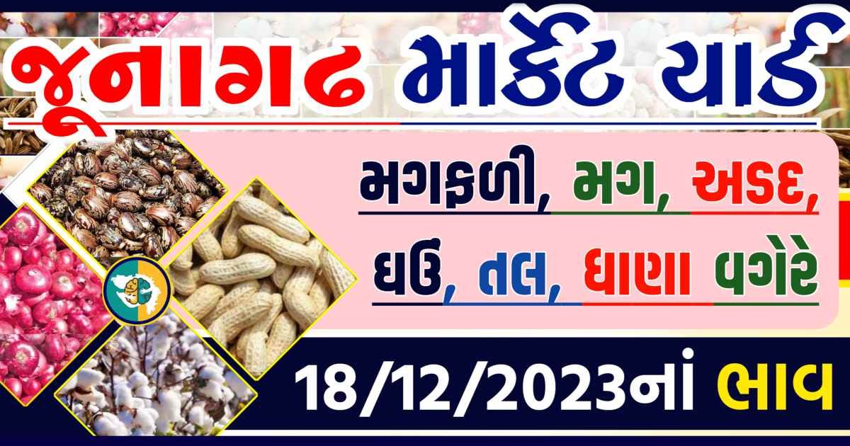 Today 18/12/2023 Junagadh Apmc Rate આજના જુનાગઢના બજાર ભાવ Gkmarugujarat.com