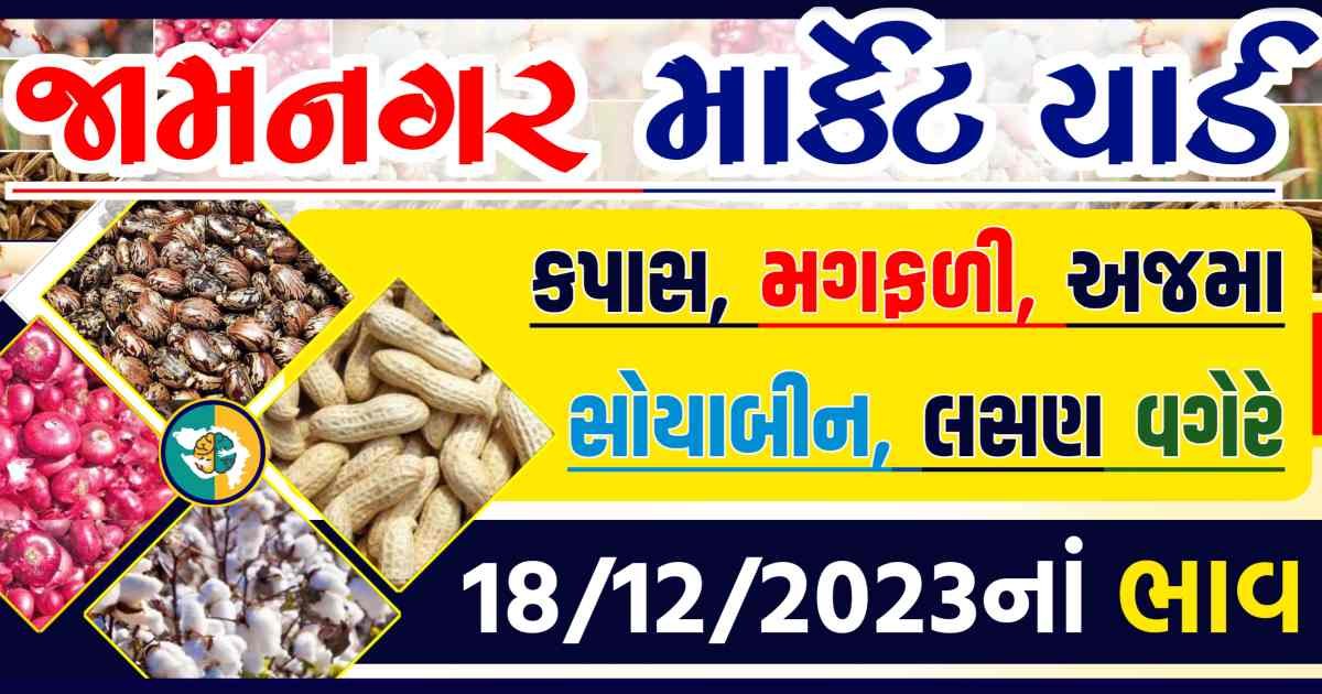 Today 18/12/2023 Jamnagar Apmc Rate આજના જામનગરના બજાર ભાવ Gkmarugujarat.com