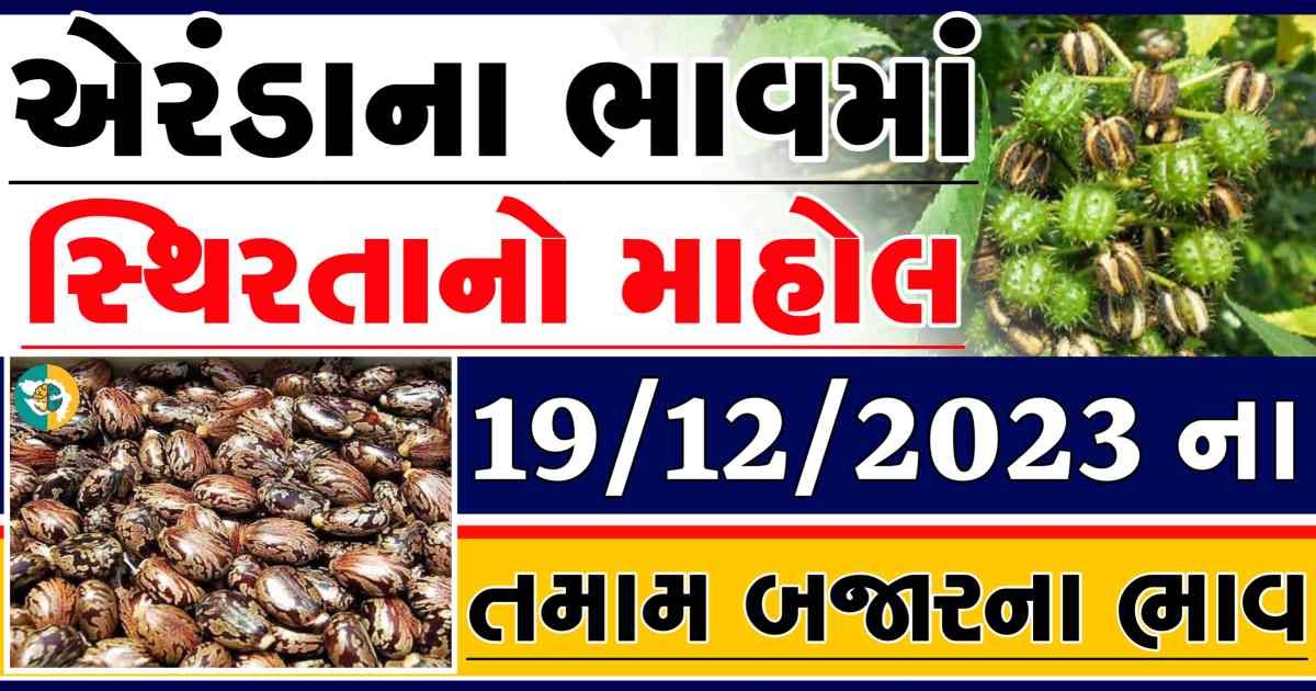 Today 19/12/2023 Eranda Apmc Rate આજના એરંડાના બજાર ભાવ gkmarugujarat.com