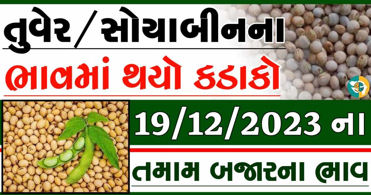 19/12/2023 Turmeric Soybeans Apmc Rate આજના તુવેર અને સોયાબીનના બજાર ભાવ gkmarugujarat.com