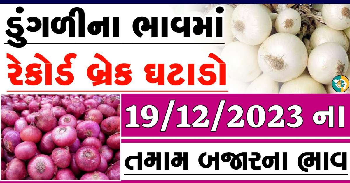 Today 19/12/2023 Onion Apmc Rate આજના લાલ અને સફેદ ડુંગળીના બજાર ભાવ Gkmarugujarat.com