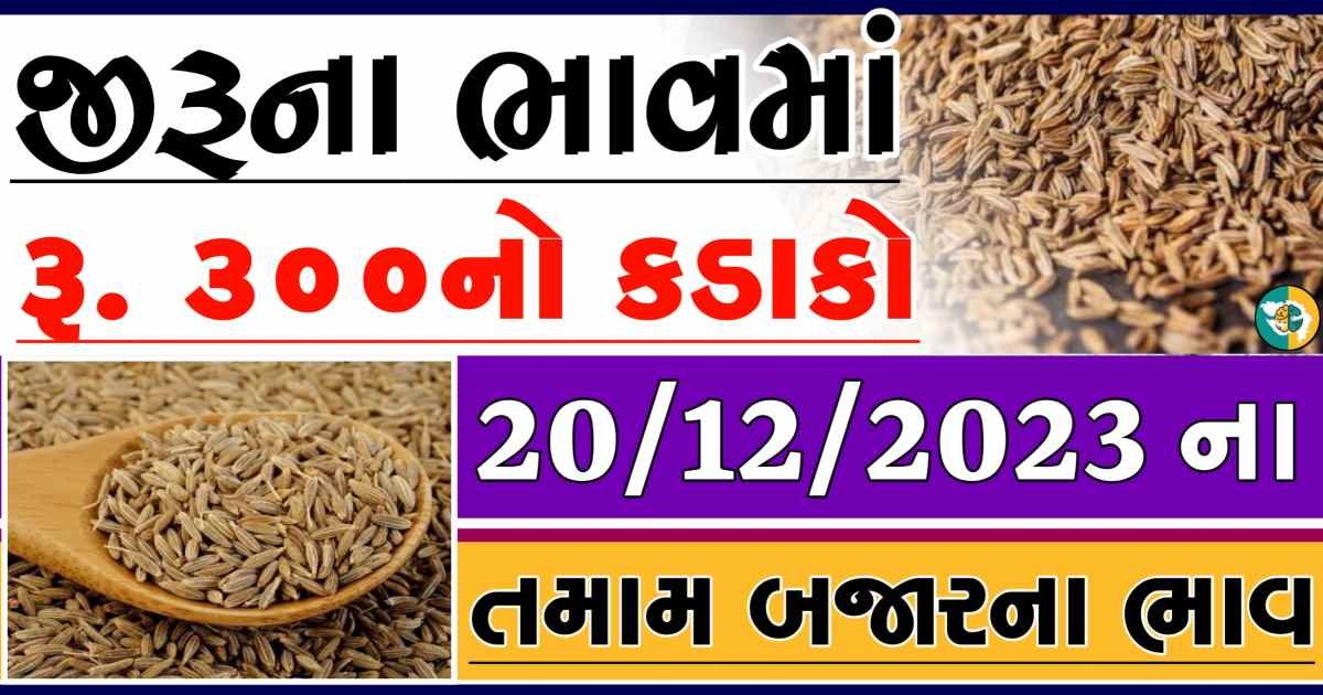 Today 20/12/2023 Jiru Apmc Rate આજના જીરુના બજાર ભાવ gkmarugujarat.com