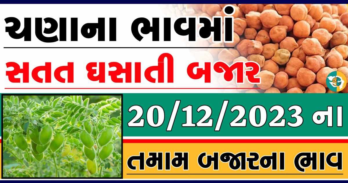 Today 20/12/2023 Chickpeas Apmc Rate આજના ચણાના બજાર ભાવ gkmarugujarat.com