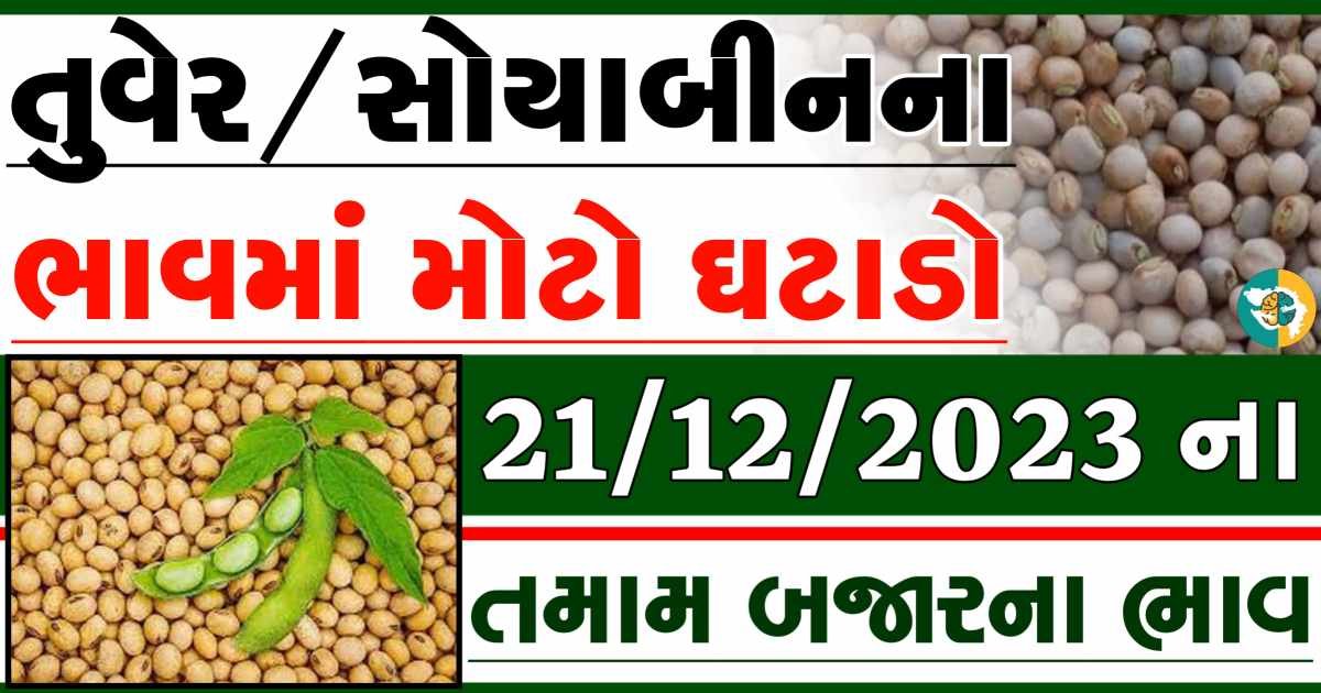 21/12/2023 Turmeric Soybeans Apmc Rate આજના તુવેર અને સોયાબીનના બજાર ભાવ gkmarugujarat.com