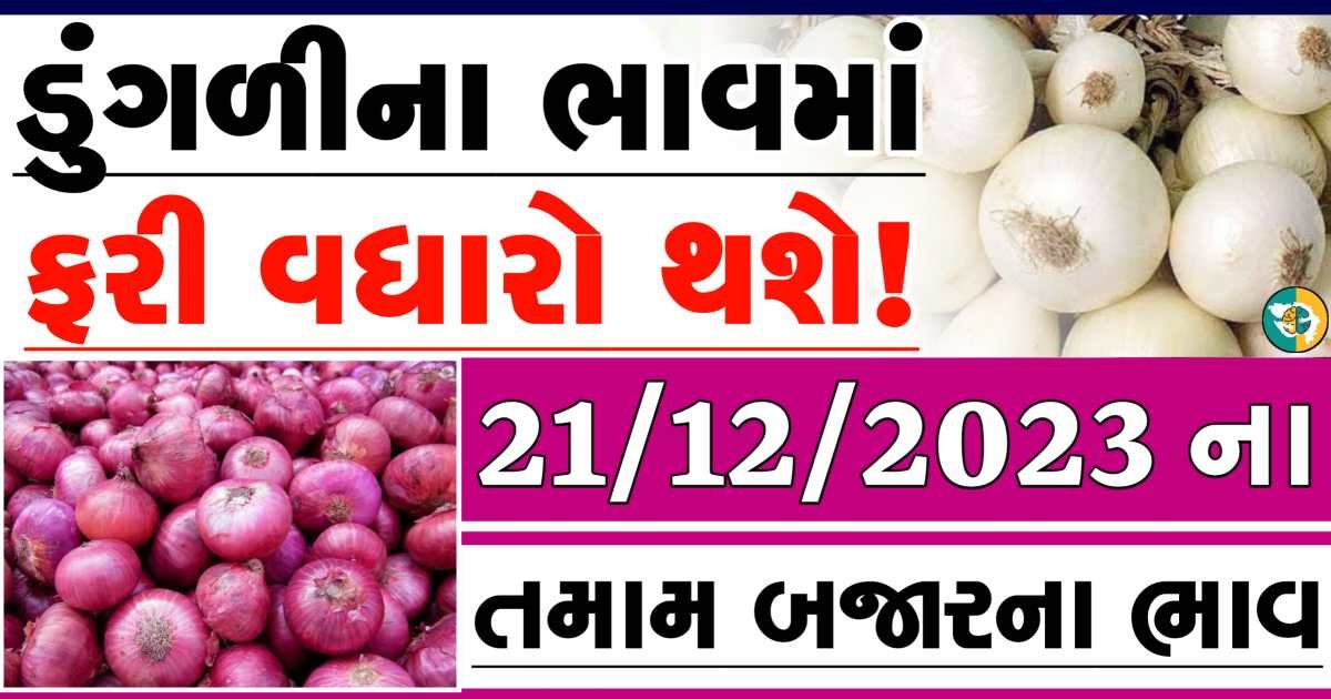 Today 21/12/2023 Onion Apmc Rate આજના લાલ અને સફેદ ડુંગળીના બજાર ભાવ Gkmarugujarat.com