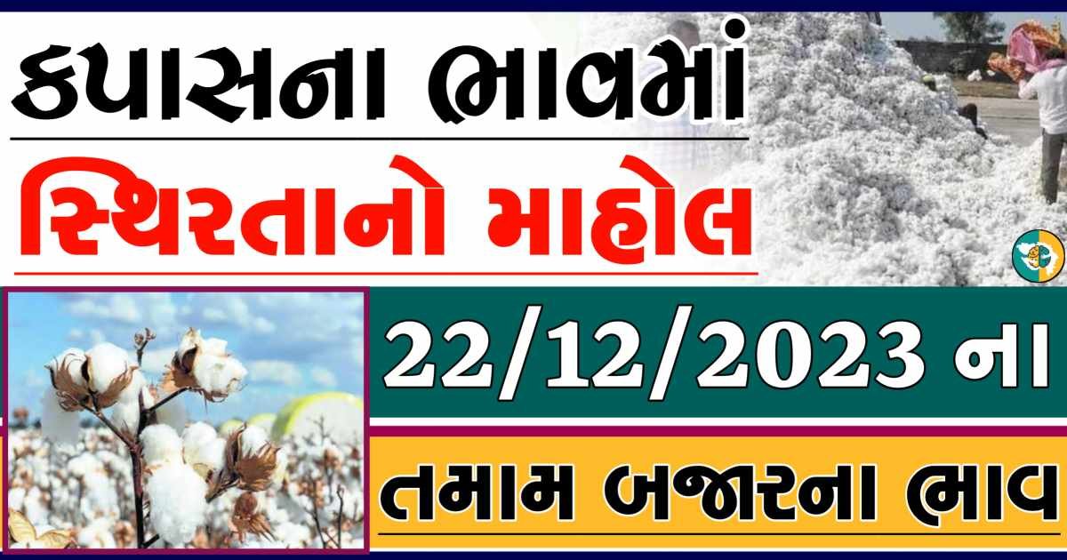 Today 22/12/2023 Cotton Apmc Rate gkmarugujarat.com