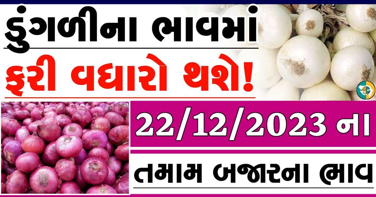 Today 22/12/2023 Onion Apmc Rate આજના લાલ અને સફેદ ડુંગળીના બજાર ભાવ Gkmarugujarat.com
