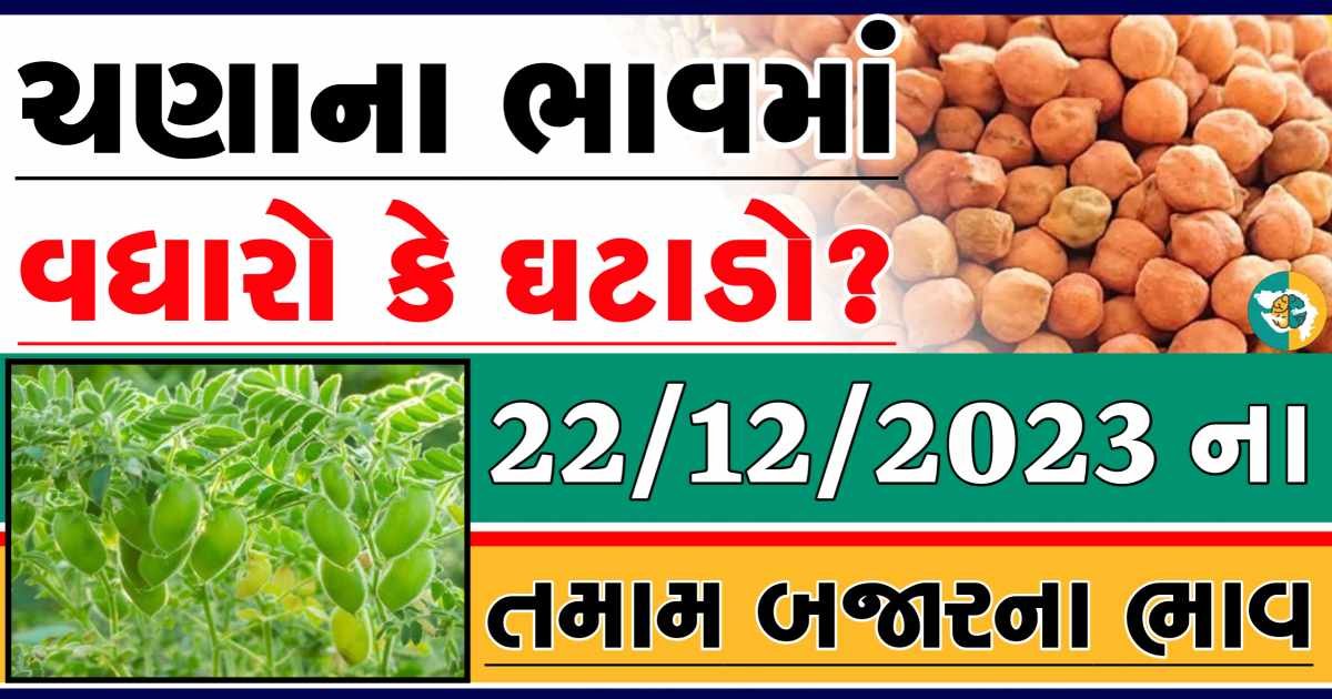 Today 22/12/2023 Chickpeas Apmc Rate આજના ચણાના બજાર ભાવ gkmarugujarat.com