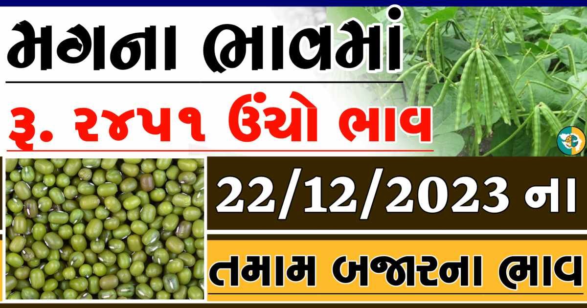 Today 22/12/2023 Mag Apmc Rate આજના મગના બજાર ભાવ gkmarugujarat.com