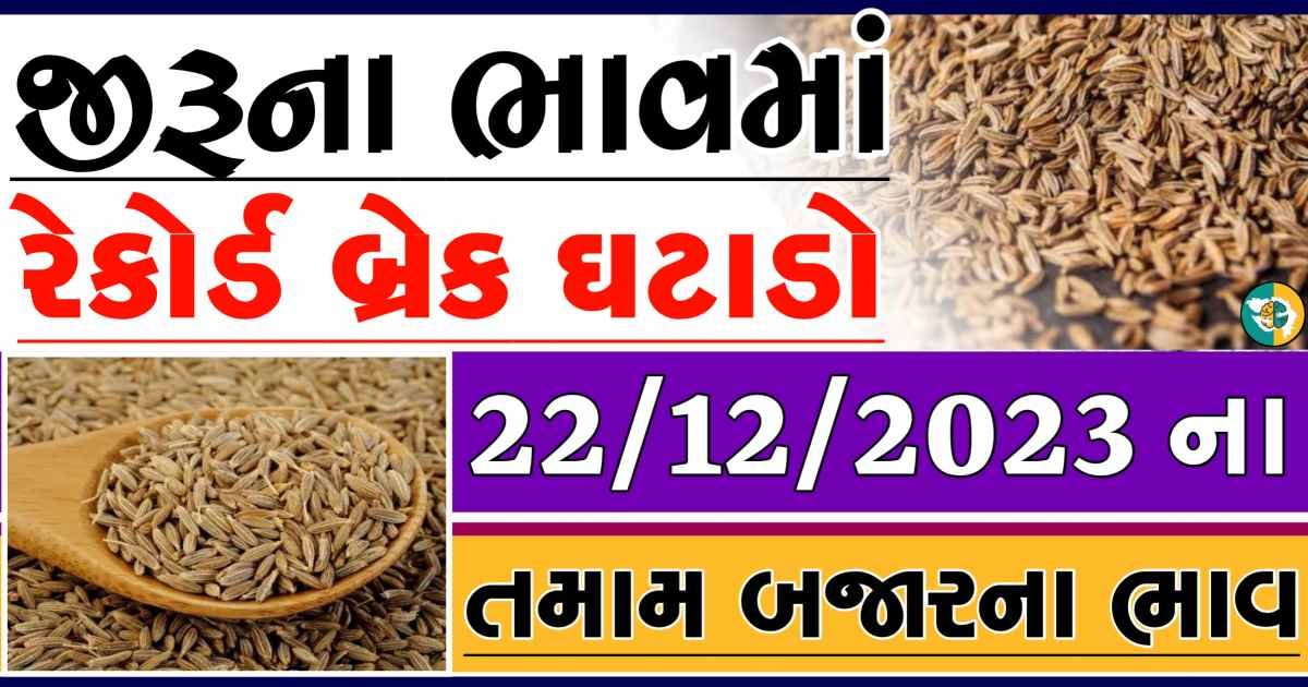 Today 22/12/2023 Jiru Apmc Rate આજના જીરુના બજાર ભાવ gkmarugujarat.com