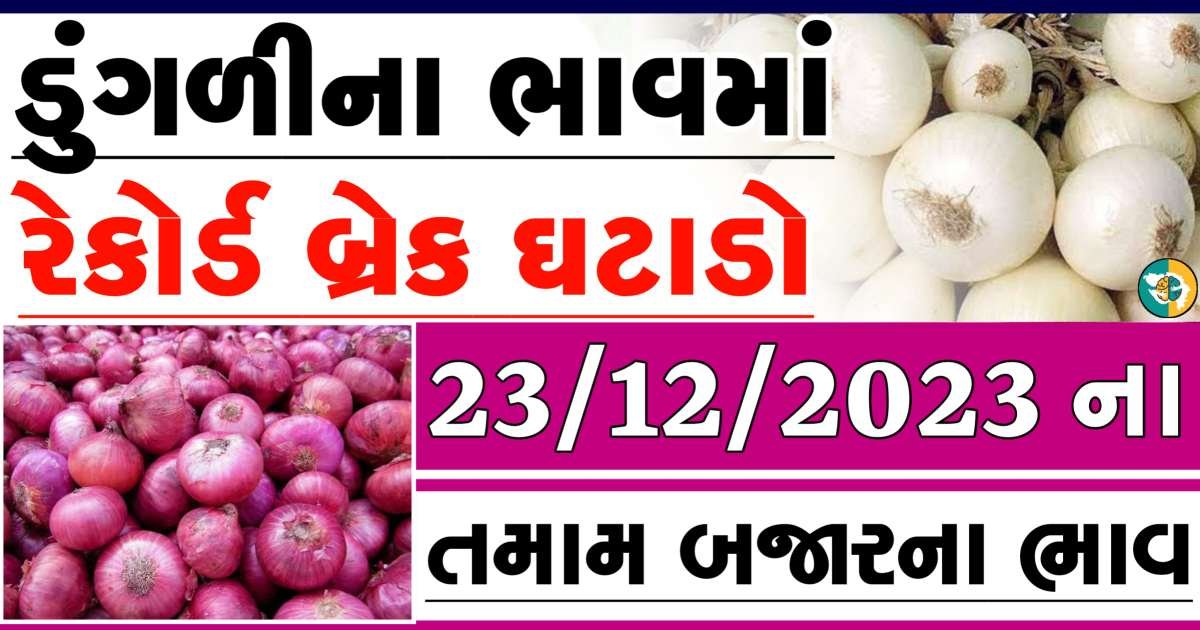 Today 23/12/2023 Onion Apmc Rate આજના લાલ અને સફેદ ડુંગળીના બજાર ભાવ Gkmarugujarat.com