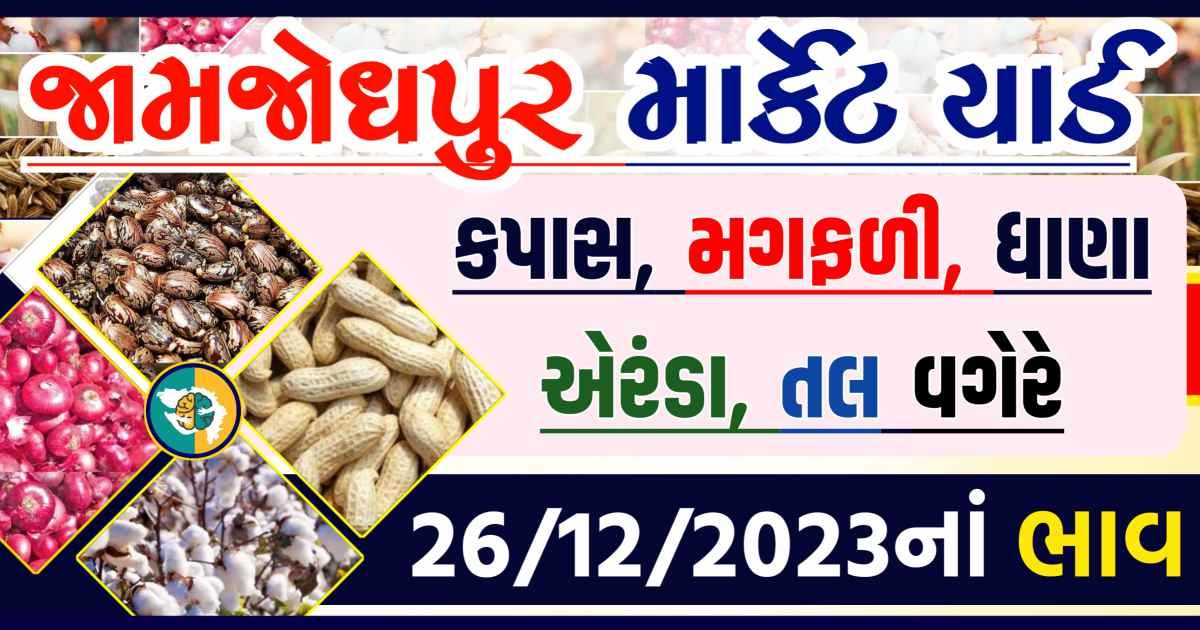 Today 26/12/2023 Jamjodhpur Apmc Rate આજના જામજોધપુરના બજાર ભાવ Gkmarugujarat.com