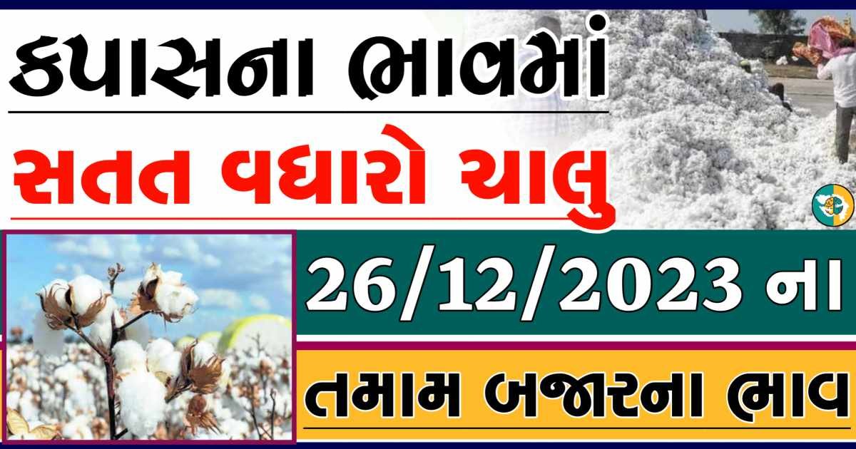 Today 26/12/2023 Cotton Apmc Rate gkmarugujarat.com