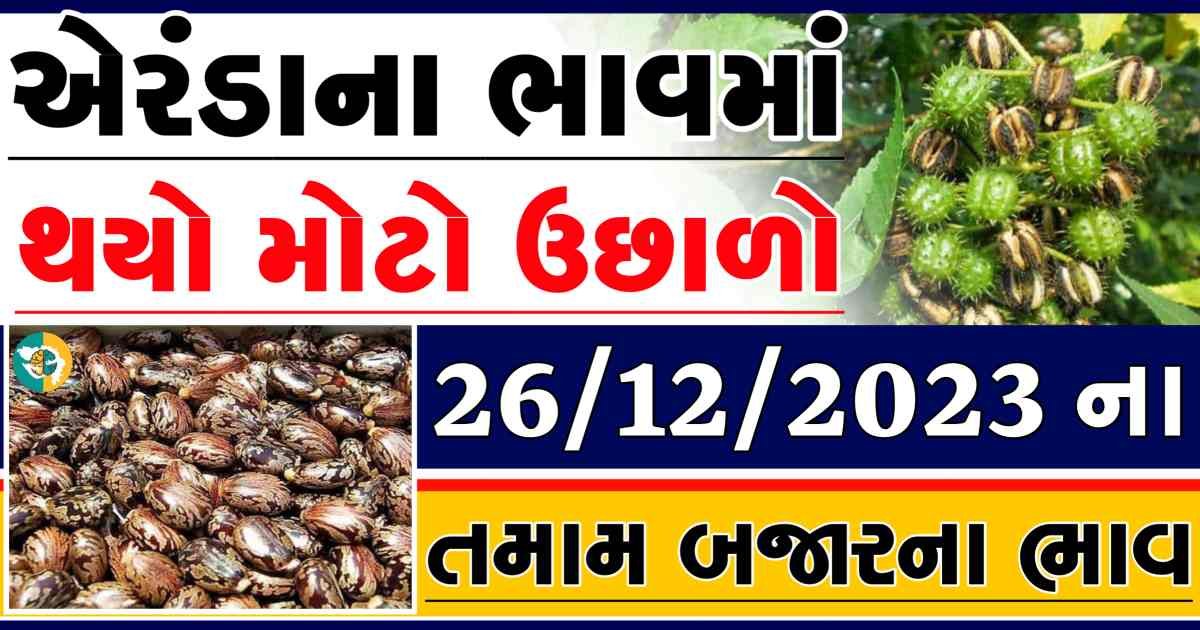 Today 26/12/2023 Eranda Apmc Rate આજના એરંડાના બજાર ભાવ gkmarugujarat.com