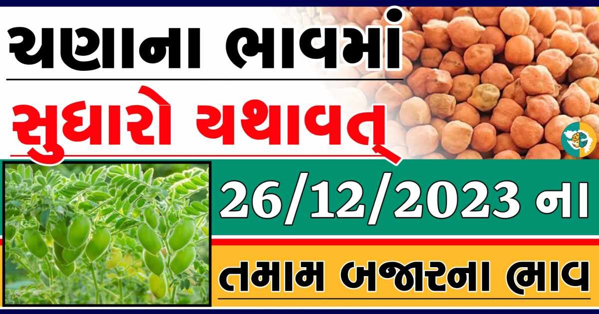 Today 26/12/2023 Chickpeas Apmc Rate આજના ચણાના બજાર ભાવ gkmarugujarat.com