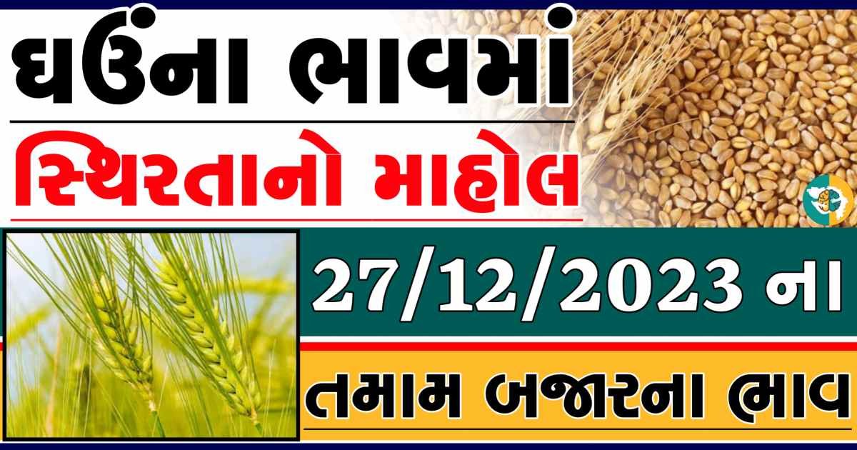 Today 27/12/2023 Wheat Apmc Rate આજના લોકવન અને ટુકડા ઘઉંના બજાર ભાવ