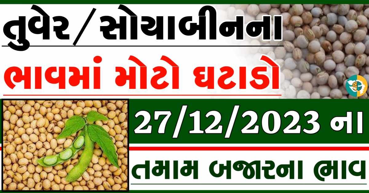 27/12/2023 Turmeric Soybeans Apmc Rate આજના તુવેર અને સોયાબીનના બજાર ભાવ gkmarugujarat.com