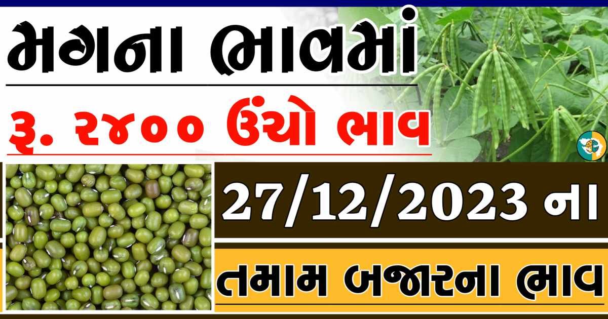 Today 27/12/2023 Mag Apmc Rate આજના મગના બજાર ભાવ gkmarugujarat.com