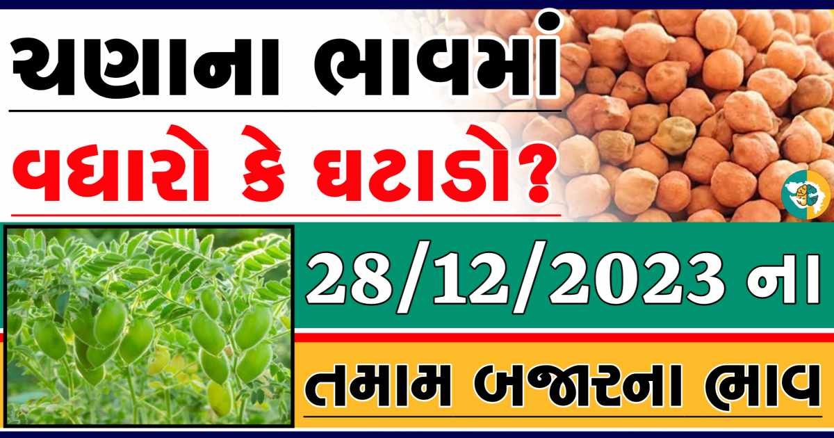 Today 28/12/2023 Chickpeas Apmc Rate આજના ચણાના બજાર ભાવ gkmarugujarat.com