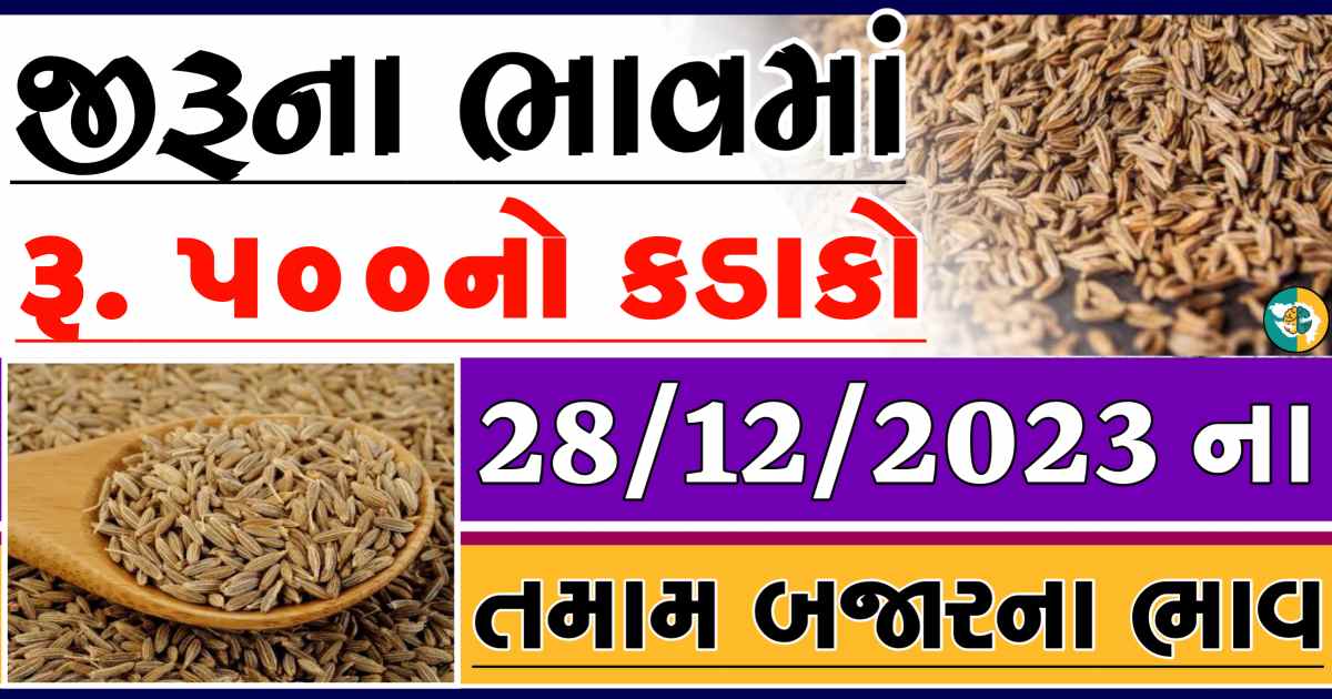 Today 28/12/2023 Jiru Apmc Rate આજના જીરુના બજાર ભાવ gkmarugujarat.com