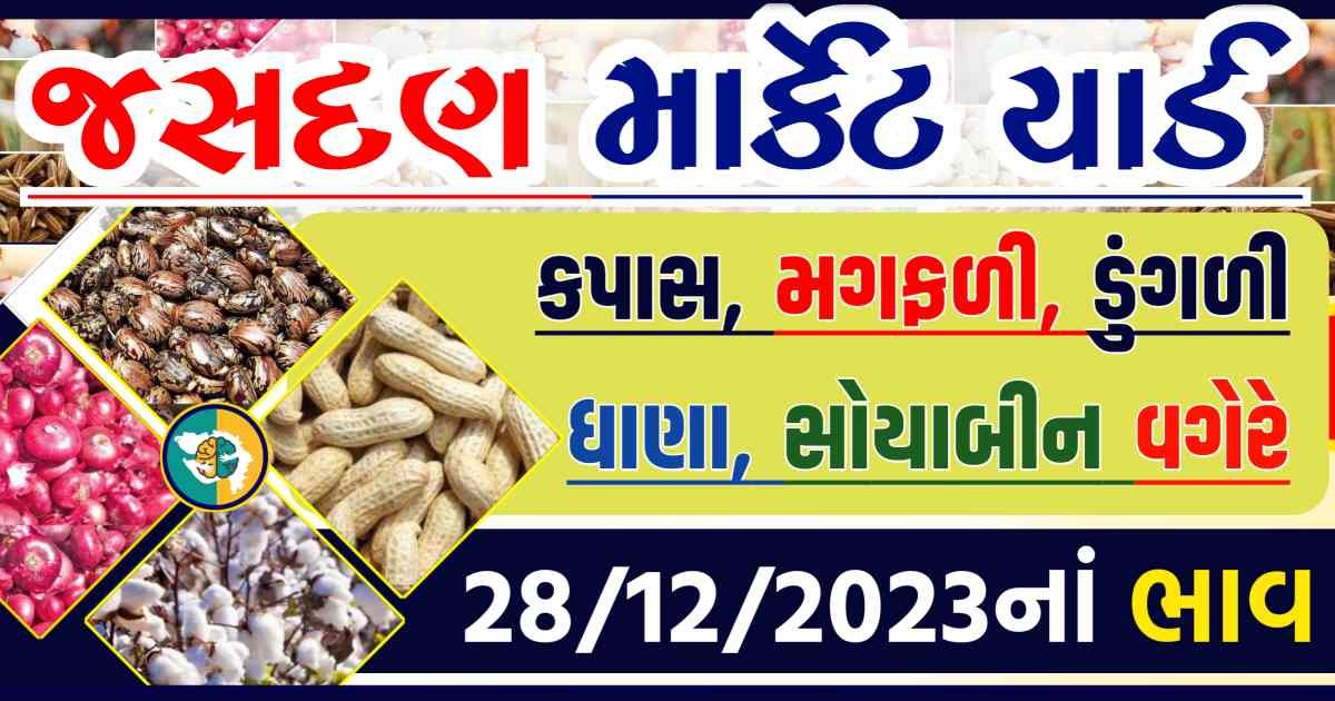 Today 28/12/2023 Jasdan Apmc Rate આજના જસદણના બજાર ભાવ Gkmarugujarat.com