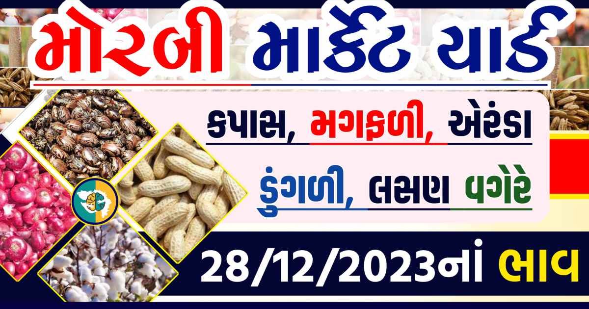 Today 28/12/2023 Morbi Apmc Rate આજના મોરબીના બજાર ભાવ Gkmarugujarat.com