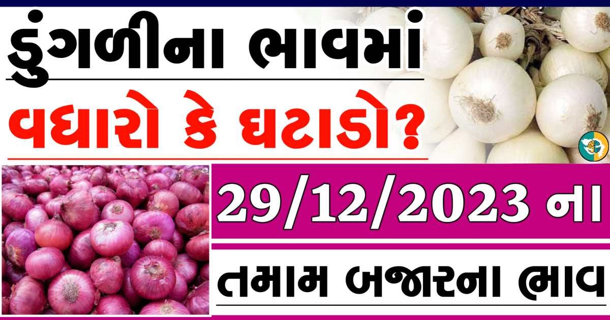 Today 29/12/2023 Onion Apmc Rate આજના લાલ અને સફેદ ડુંગળીના બજાર ભાવ Gkmarugujarat.com