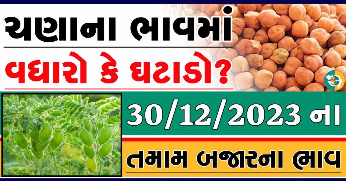 Today 30/12/2023 Chickpeas Apmc Rate આજના ચણાના બજાર ભાવ gkmarugujarat.com