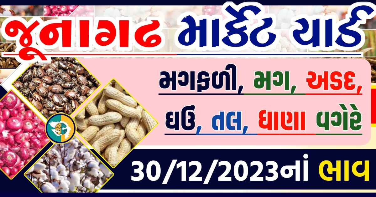 Today 30/12/2023 Junagadh Apmc Rate આજના જુનાગઢના બજાર ભાવ Gkmarugujarat.com